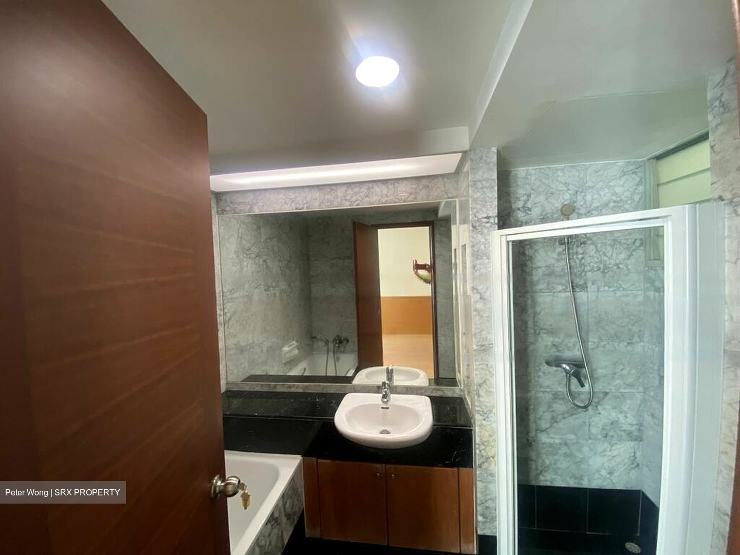 The Clearwater (D16), Condominium #480097481